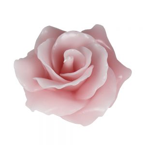 Vela Rosa | Homeart - Design e Decoração de Interiores | 19000303
