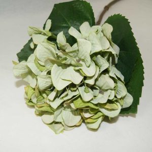 Hortênsia Verde | Homeart - Design e Decoração de Interiores | 19000791