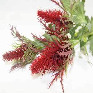 Pé de Astilbe Bordeaux | Homeart - Design e Decoração de Interiores | 19000796