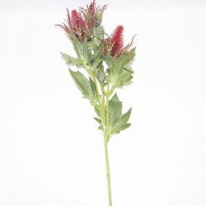 Pé de Astilbe Bordeaux | Homeart - Design e Decoração de Interiores | 19000796