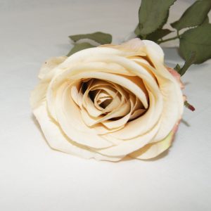 Rosa Art Deco Bege | Homeart - Design e Decoração de Interiores | 19000798