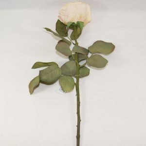 Rosa Art Deco Bege | Homeart - Design e Decoração de Interiores | 19000798