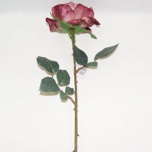 Rosa Eunice Malva | Homeart - Design e Decoração de Interiores | 19000801