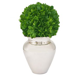 Jarra Banhada a Prata com Buxo Natural Preservado Vaso Antónia Edzard banhado a prata Apenas para uso indoor Manter afastado da luz solar direta Planta buxo sem qualquer manutenção Completamente seguro para si e para o seu animal de estimação