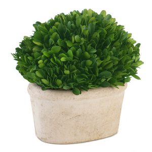 Vaso Cimento com Buxo Preservado Creme Oval 26 Cms O buxo é preservado quando colhido. Folhagem permanece natural e dá a sensação de um buxo vivo Planta buxo preservado e tratado para manter aquela aparência renovada para os próximos anos