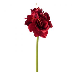 Pé de Flor Amaryllis - Vermelho Bonita flor para arranjos florais. Em cor vermelho