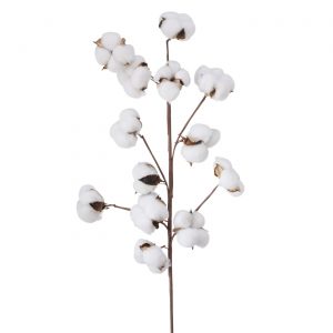 Flor de Algodão Bonito pé de flor de algodão Muito bonita para arranjos florais Toque e aspeto muito natural