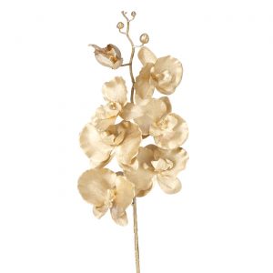 Pé de Flor - Orquídea Dourada Bonito é de flor de orquídea em dourado