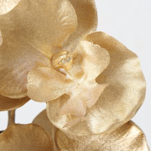 Pé de Flor - Orquídea Dourada Bonito é de flor de orquídea em dourado