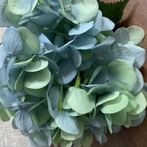 Ramo de Hortencias Bonito ramo com 5 flores Hortência Em azul