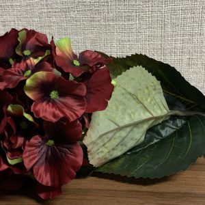Hortência Bordaux Bonito pé de flor com aspeto e toque natural Em cor bordaux