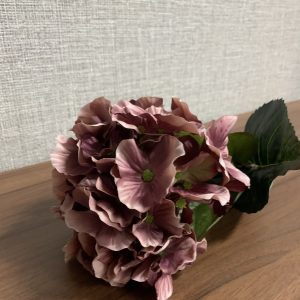Hortência Rosa Bonito pé de flor com aspeto e toque natural Em cor rosa seco