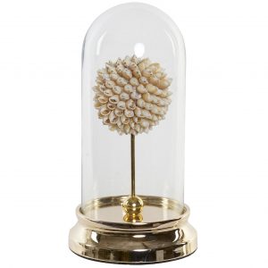 Campânula Búzios Bonita Peça Decorativa com Búzios Campânula em Vidro e Base em Metal