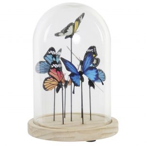 Dec. Campânula Borboletas Bonita Peça Decorativa Campânula Vidro com Borboletas - Base Madeira