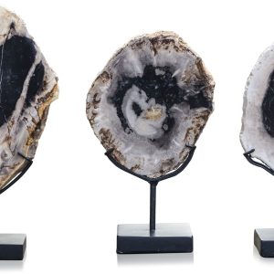 Peça Decorativa - Madeira Petrificada (Cor/modelo aleatório) Bonita peça decorativa em madeira petrificada com cerca de 6 milhões de anos e pé em ferro preto. Madeira petrificada é um material natural. Portanto, podem ocorrer variações de cor e estrutura. A madeira petrificada é o resultado de uma árvore que foi completamente transitada para a pedra pelo processo de per mineralização. Todos os materiais orgânicos (isto é, madeira) foram substituídos por minerais (na sua maioria um silicato, como quartzo), mantendo ao mesmo tempo a estrutura original do tecido do caule. Portanto, a madeira petrificada é uma representação tridimensional do material orgânico original. O processo de petrificação ocorre no subsolo, quando a madeira fica enterrada sob sedimento e é inicialmente preservada devido à falta de oxigénio que inibe a decomposição aeróbia. Água mineral-carregada que flui através dos sedimentos deposita minerais nas células da planta; à medida que a lignina e a celulose se degradam, forma-se um molde de pedra no seu lugar. A madeira petrificada tem entre 6 a 20 milhões de anos.