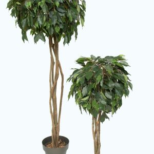 Planta Ficus - Bola Bonita planta artificial com aspeto natural.