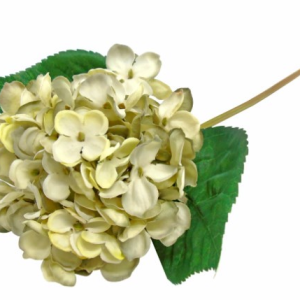 Flor Artificial – Hortência Verde Bonita Flor Artificial – Hortência Com toque e aspeto natural