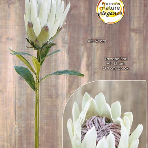 King Protea - 37 Cms Bonita flor arficial - Protea Creme
