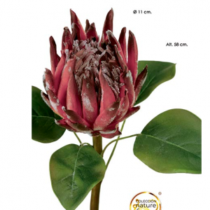 Flor Protea . Bordaux Bonita flor arficial – Protea Bordaux