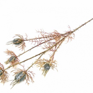 Pé de Flor - Pompons Azuis Pé de Flor artificial Pompons Azuis