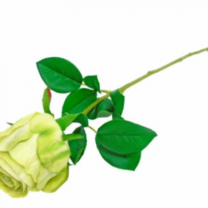 Flor Artificial – Pé de Rosa (Verde) Bonito pé de flor, pé de rosa artificial Toque e aspeto natural Verde