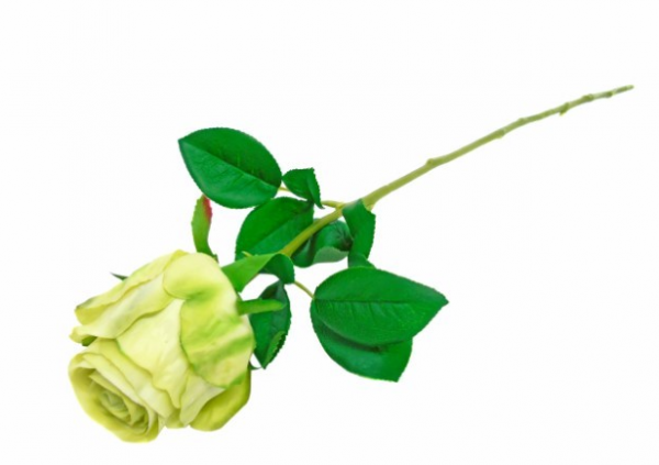 Flor Artificial – Pé de Rosa (Verde)