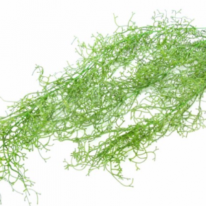 Pé de Folhagem Suspensa - Verde Bonita planta verde artificial Muito útil para jardins verticais