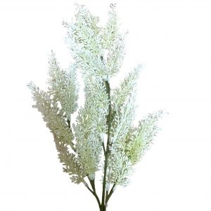 Pé de Planta - Folhagem Branca Bonito pé de planta - branco