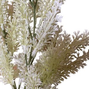 Pé de Planta - Folhagem Branca Bonito pé de planta - branco