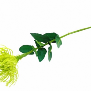 Pé de Flor - Protea Verde Bonita Flor Artifcial com Aspeto Natural