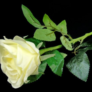 Pé de Rosa - Branca Bonita Flor - Pé de Rosa Branco Artificial com Toque e Aspeto Natural