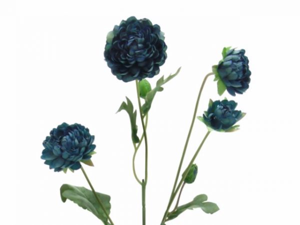 Pé de Flor - Crisântemo Azul