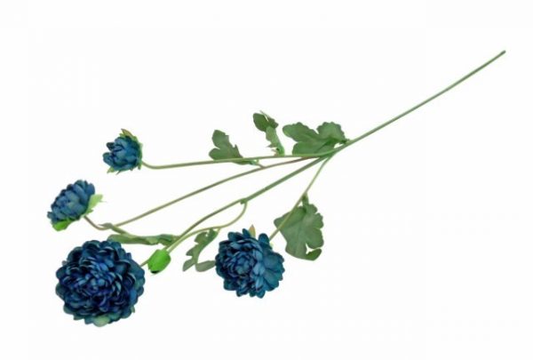 Pé de Flor - Crisântemo Azul