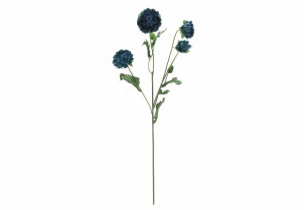 Pé de Flor - Crisântemo Azul