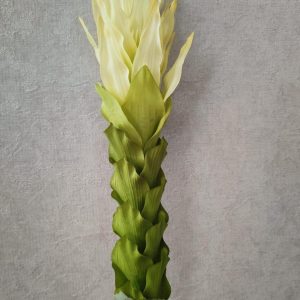 Pé de Flor - Prótea Bege Bonito e elegante pé de flor artificial com aspeto e toque natural