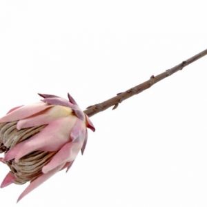 Pé de Flor - Pé Protea Bonito e elegante pé de flor artificial com aspeto e toque natural