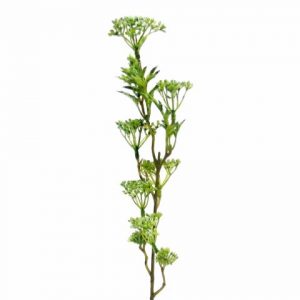 Flor Artificial - Aselepias Verde Bonito e elegante pé de flor artificial com aspeto e toque natural