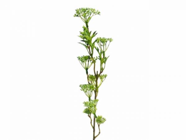 Flor Artificial - Aselepias Verde