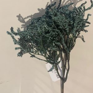 Haste Bolinhas – Azul Bonito Pé de Flor Azul