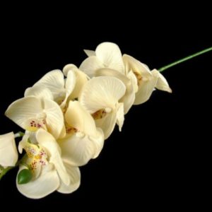 Pé de Flor – Orquídea 75 cms Bonito e elegante pé de flor artificial com aspeto e toque natural