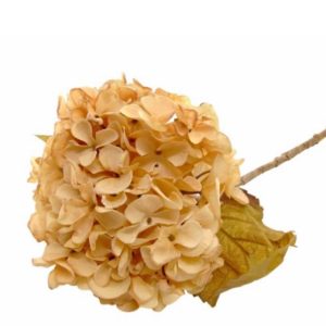 Flor Artificial – Hortência Bege Bonito e elegante pé de flor artificial com aspeto e toque natural
