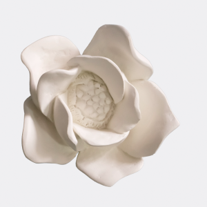 Flor Gesso Iva Viana – Camélia Cor#1032 Flor em Gesso da Escultora Iva Viana. Iva viana cativada pelas técnicas tradicionais de modelação de estuques, desenvolve e executa, no seu atelier, peças e objetos que nascem tanto do fascínio pela herança dos mestres estucadores portugueses quanto do desejo de reinterpretar. Possibilidade de fazer encomenda em outras cores.