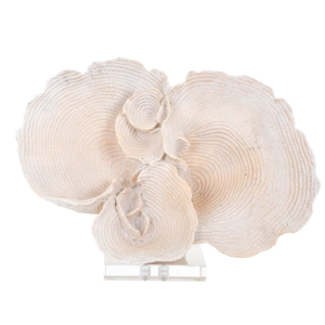 Peça Decorativa Coral Bonita peça decorativa Material: Poliresina