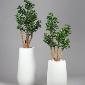 Planta Artificial - Árvore do Dinheiro 120 Cms Bonita planta/árvore artificial, com toque e aspeto natural