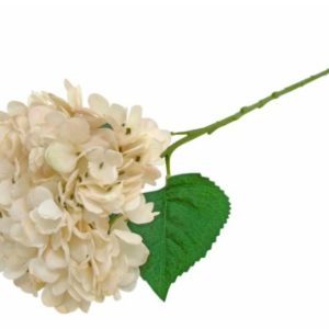 Pé de Hortência Bege Bonito e elegante pé de flor artificial com aspeto e toque natural