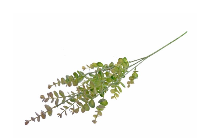 Eucalipto Artificial - Verde
