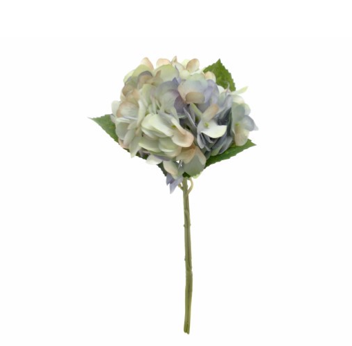 Pé de Flor – Hortência Azul