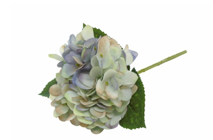 Pé de Flor – Hortência Azul