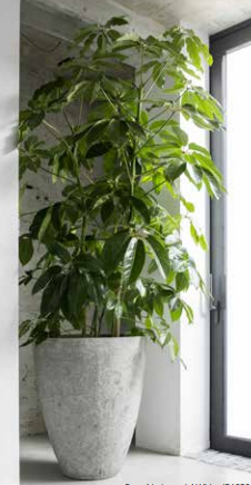 Vaso Fibra de Cimento - Texturado Cinza