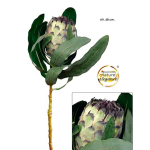 Protea Bege - Real Touch Pé de Flor Artificial, mas com toque e aspeto natural